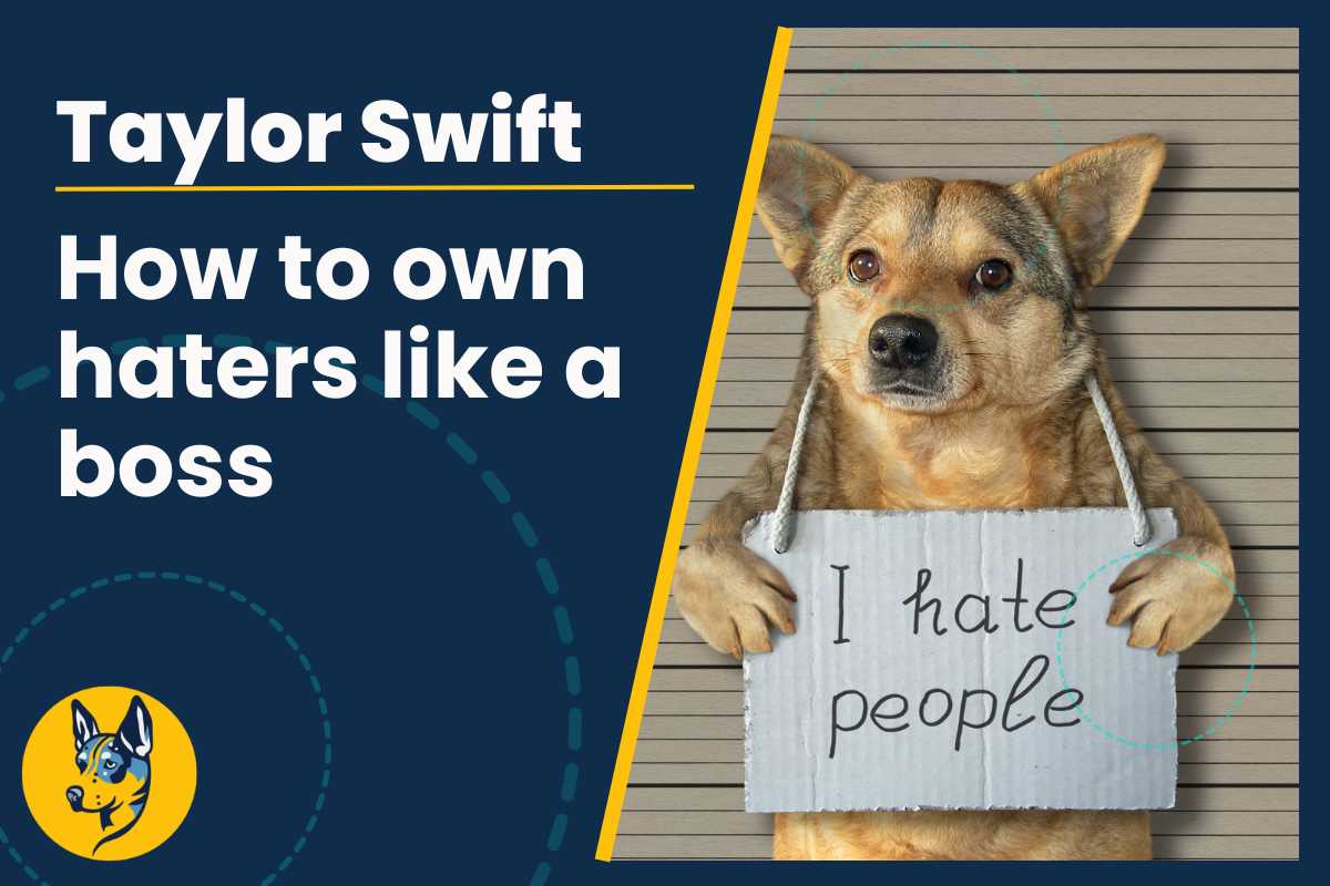 How to own haters like a boss